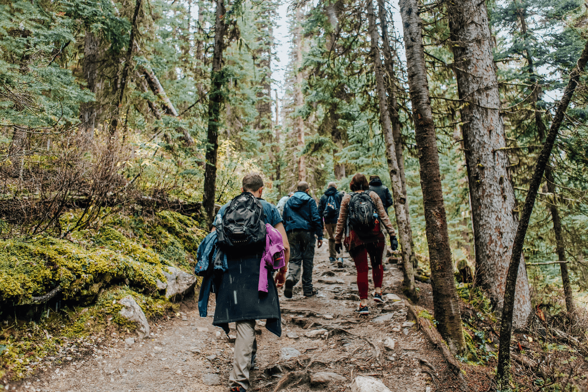 Nature Retreat – Website Banner