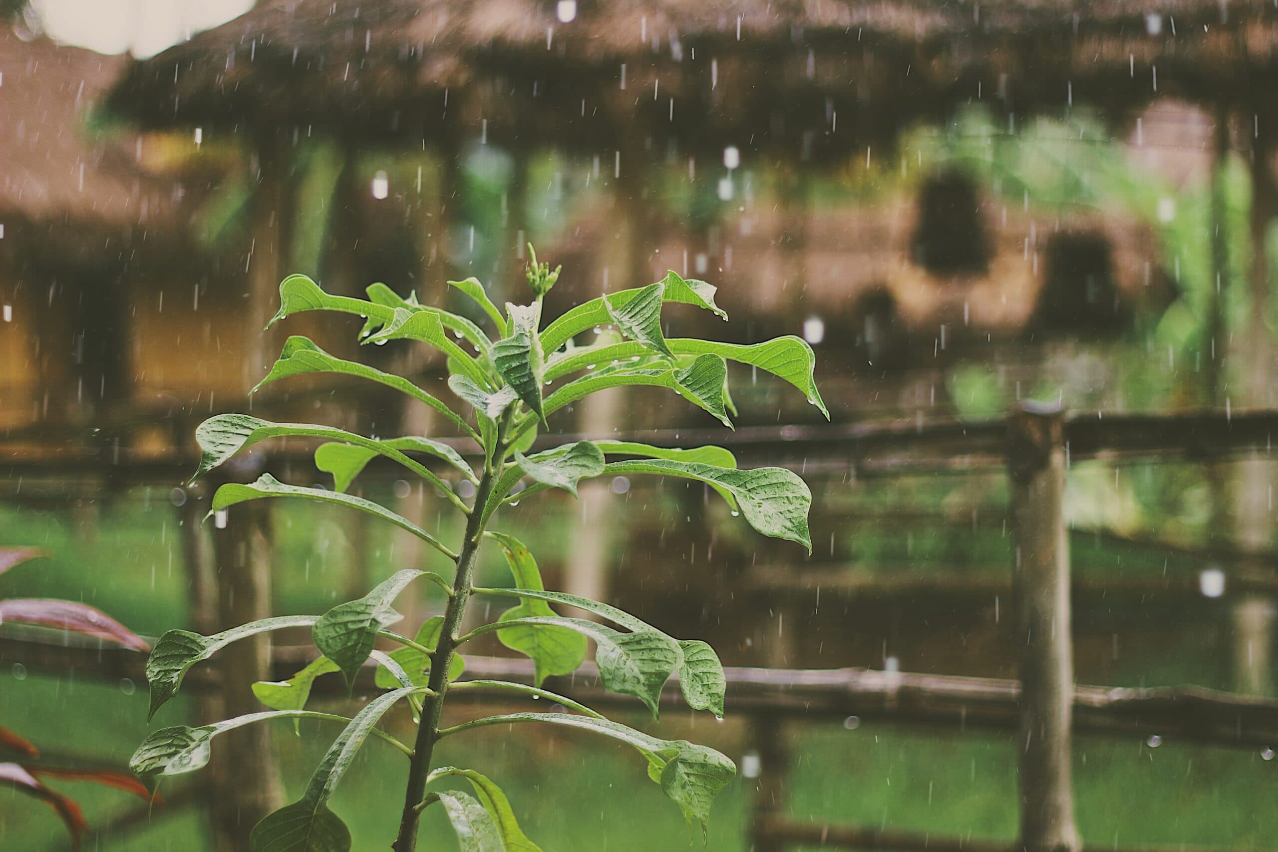 mike-kotsch-HNx4QLRgy2k-unsplash
