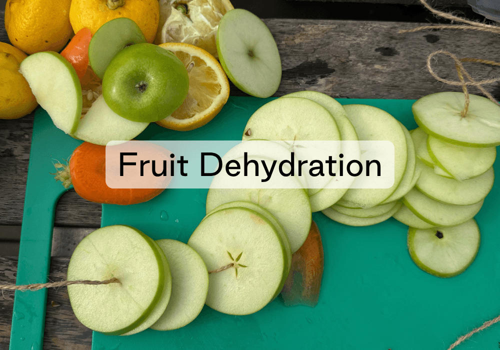 JRF26 Activity – Fruit Dehydration